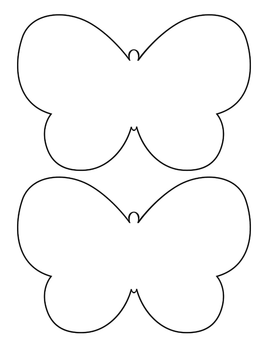Butterfly No Antennae Medium Coloring Pages Pdf Free Vectors